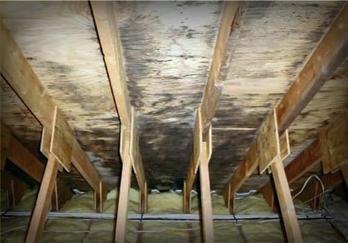 Will Mold Grow on Spray Foam Insulation? - A Comprehensive Guide